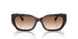 500313 - Brown - Brown Gradient