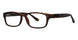 Modern Plastics II GAUGE Eyeglasses