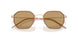 300273 - Gold - Brown
