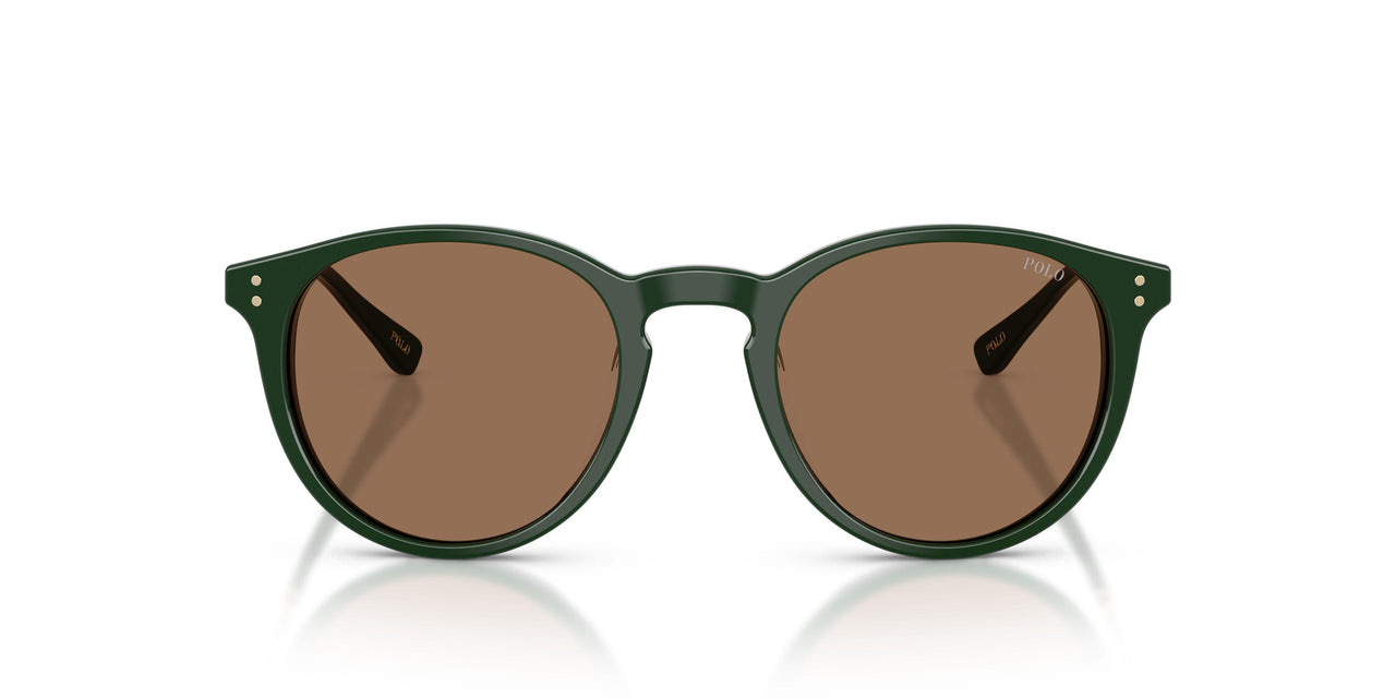 614073 - Green - Dark Brown