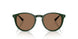 614073 - Green - Dark Brown