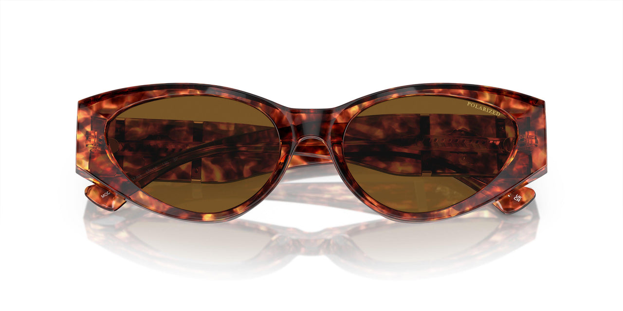 543783 - Tortoise - Dark Brown Polar