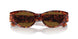 543783 - Tortoise - Dark Brown Polar