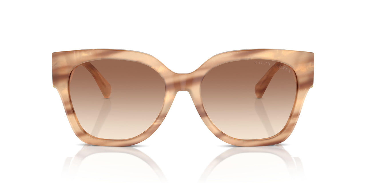 617913 - Brown - Gradient Brown