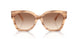 617913 - Brown - Gradient Brown
