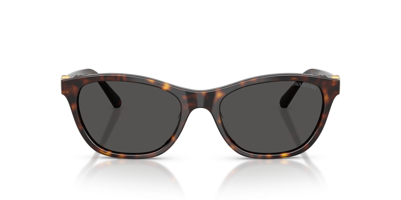 100287 - Tortoise - Dark Grey