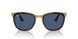 001/80 - Tortoise - Dark Blue