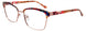 Paradox P5073 Eyeglasses