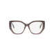 048 - Shiny Brown - DEMO