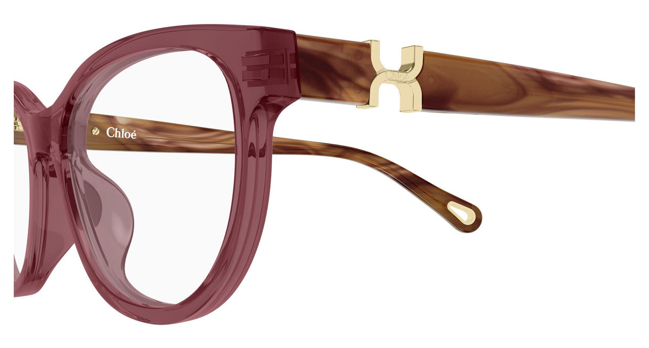 008 - Burgundy/Havana - Transparent