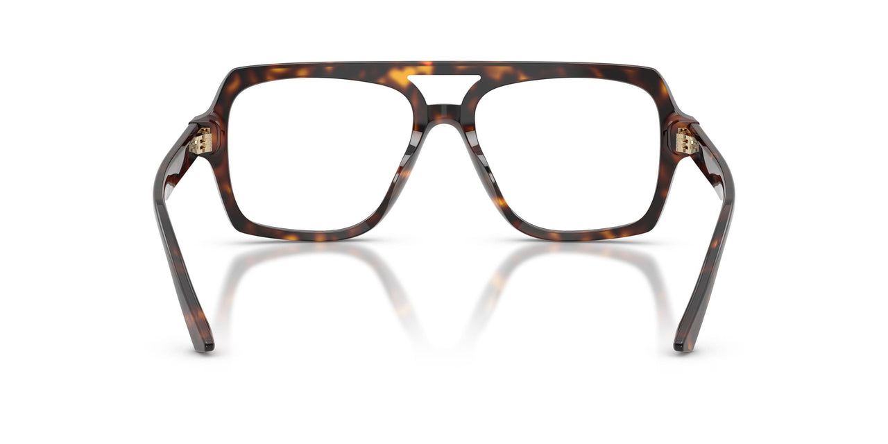 5002 - Tortoise