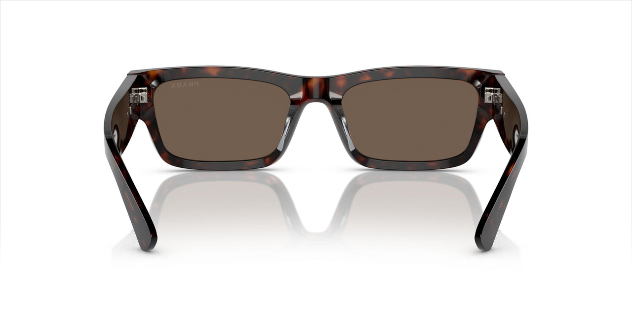 17N08T - Brown - Brown