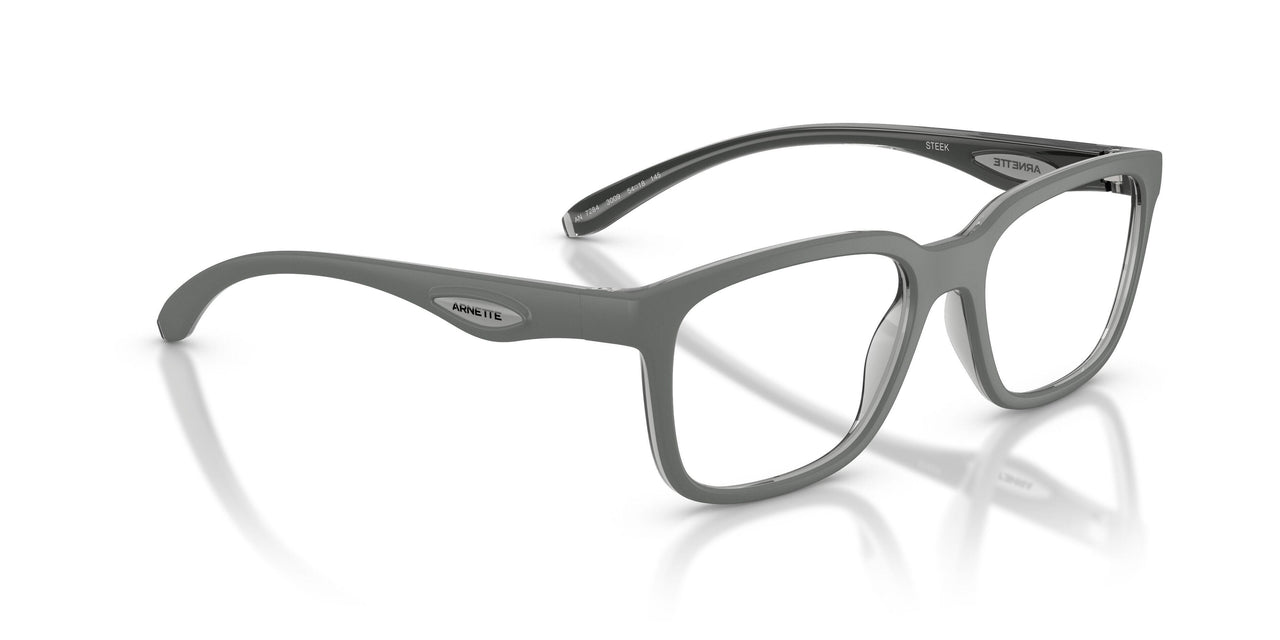 3009 - Grey