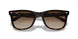710/13 - Tortoise - Brown