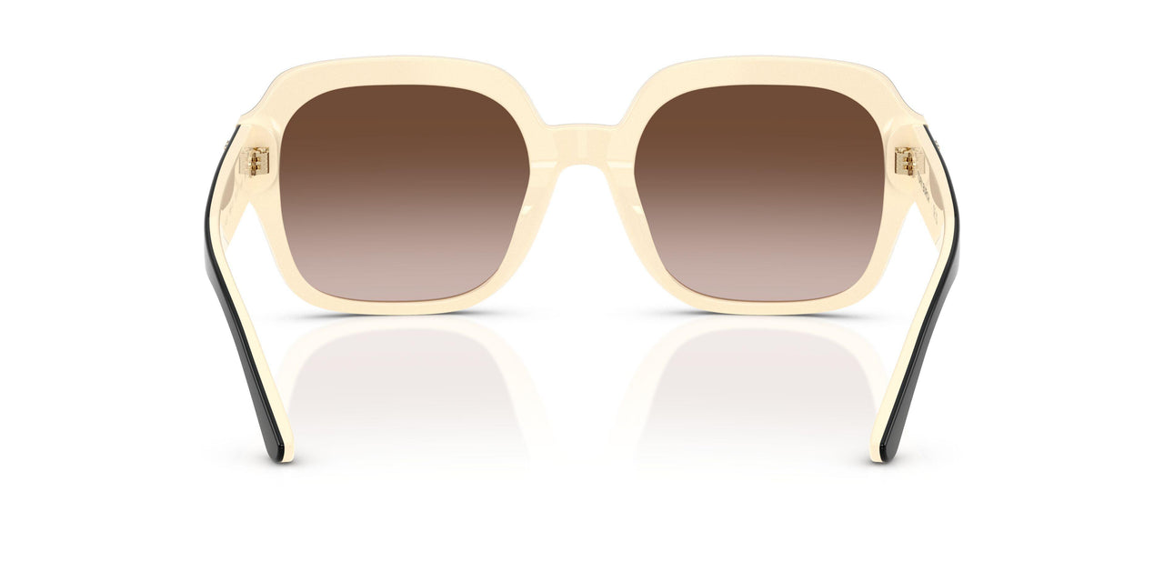 198813 - Black - Brown Gradient
