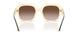 198813 - Black - Brown Gradient