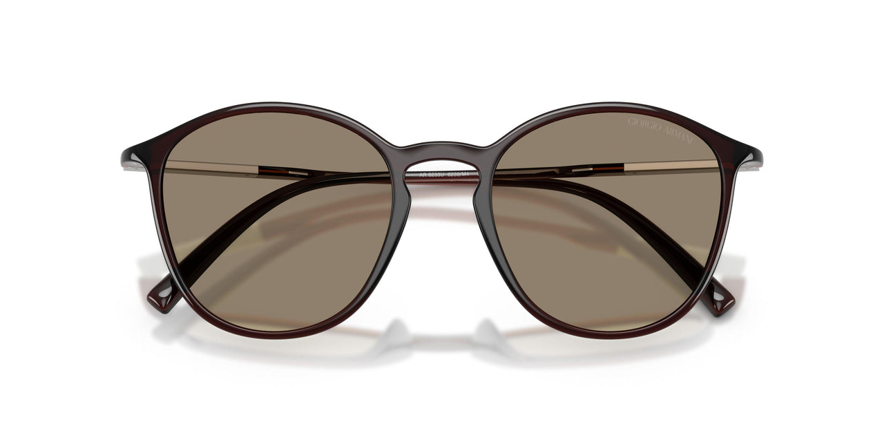6239M4 - Brown - Photochromatic Brown