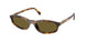 14L09Z - Tortoise - Dark Brown