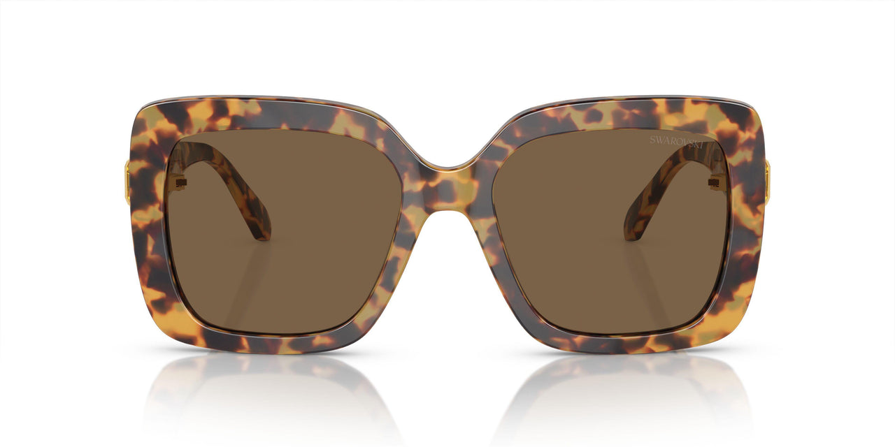 104073 - Tortoise - Dark Brown
