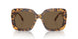 104073 - Tortoise - Dark Brown