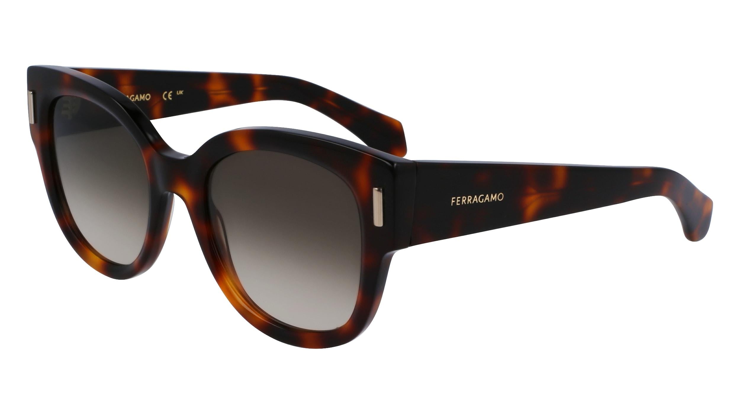 Salvatore Ferragamo SF707S Sunglasses Salvatore Ferragamo SF1077S Sunglasses main image 4