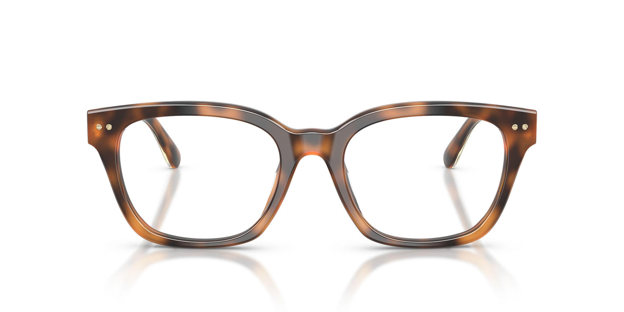 6089 - Tortoise