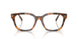 6089 - Tortoise