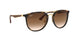 710/13 - Havana - Brown Gradient