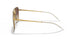 905513 - Brown - Brown Gradient Dark Brown