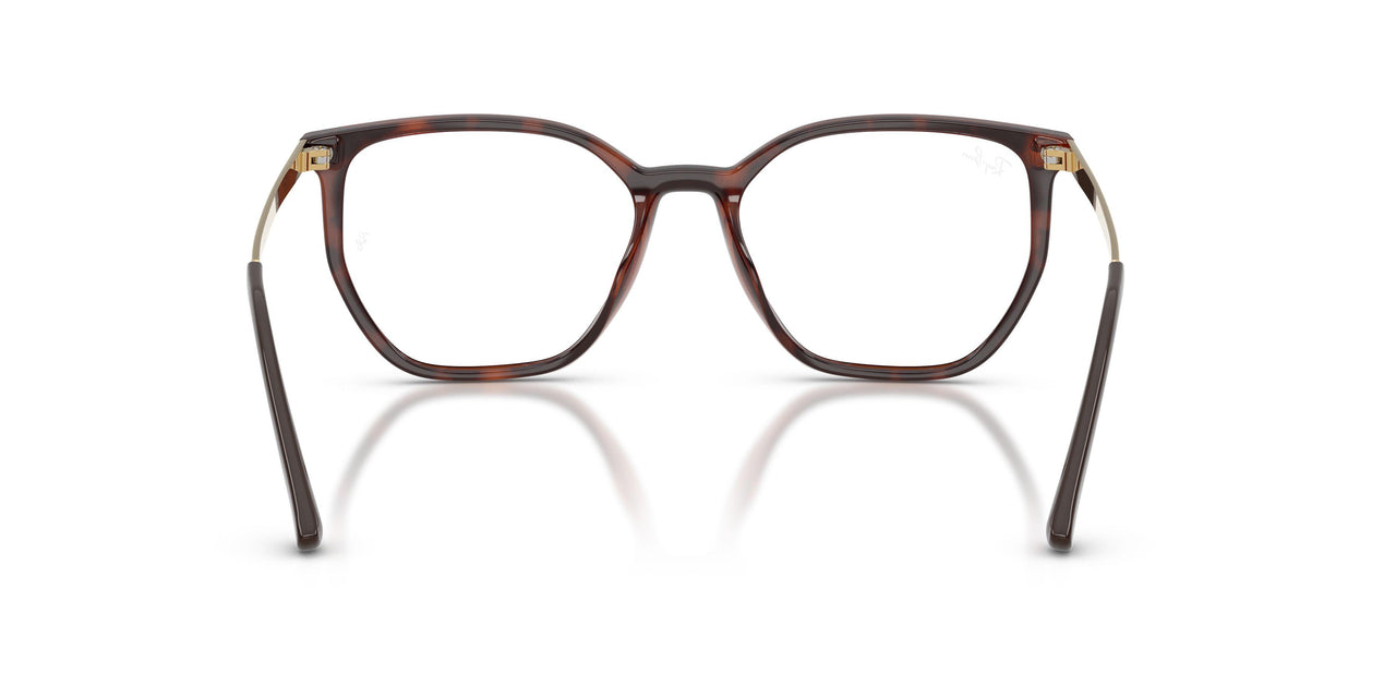 2012 - Brown - Clear