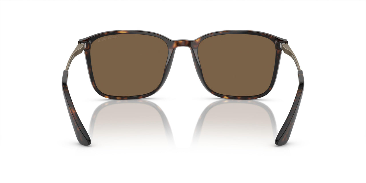 502673 - Tortoise - Dark Brown