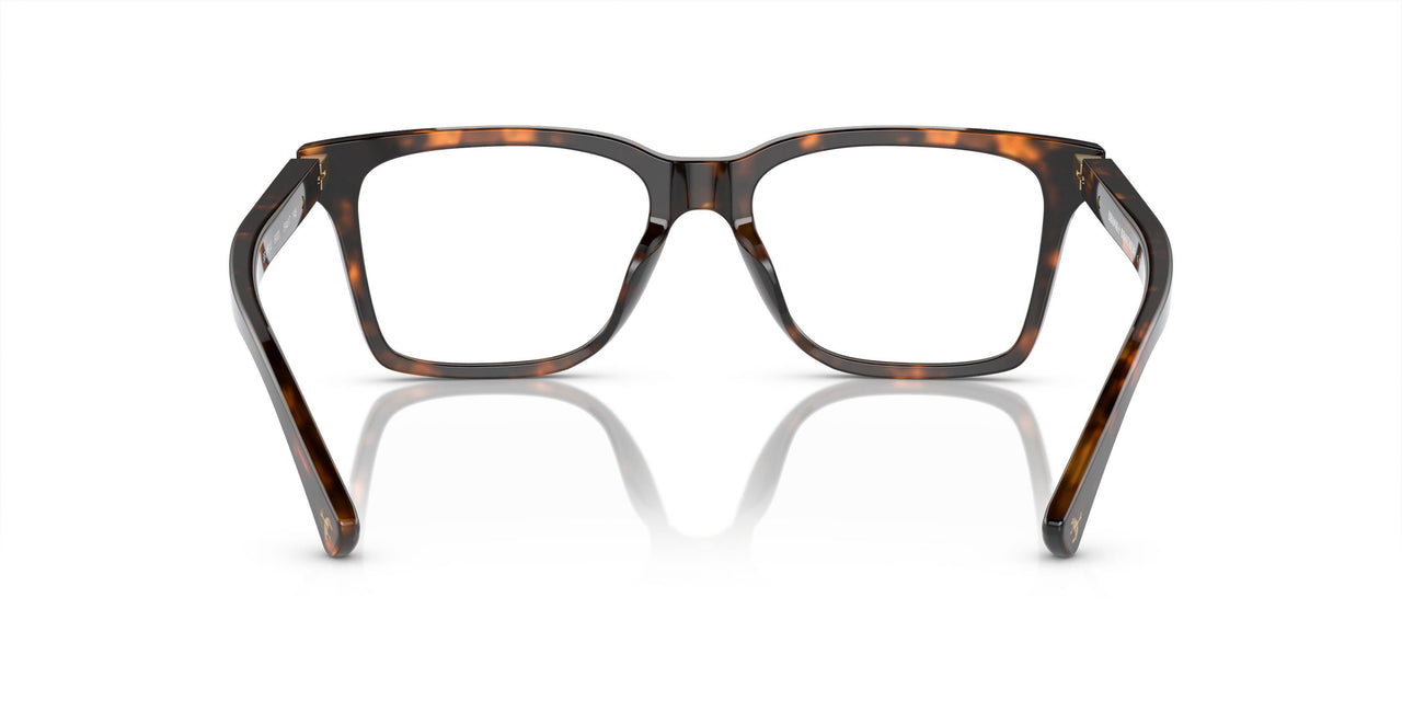 6001 - Tortoise