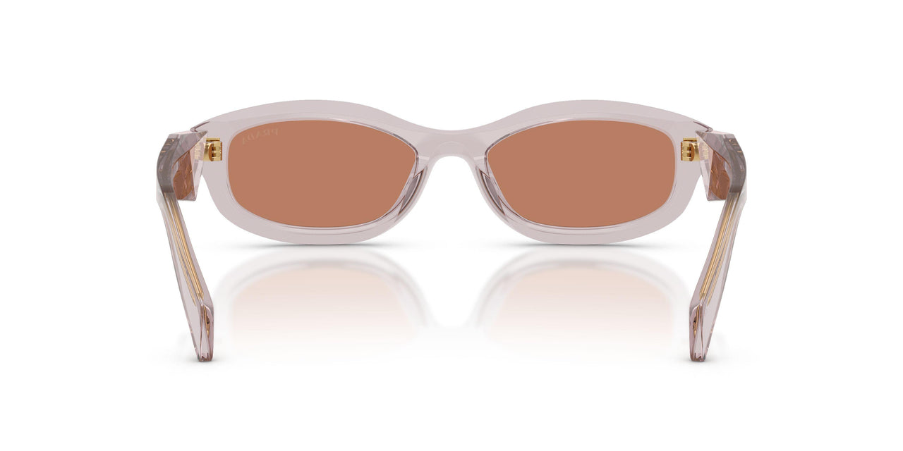 12W10I - Violet - Brown