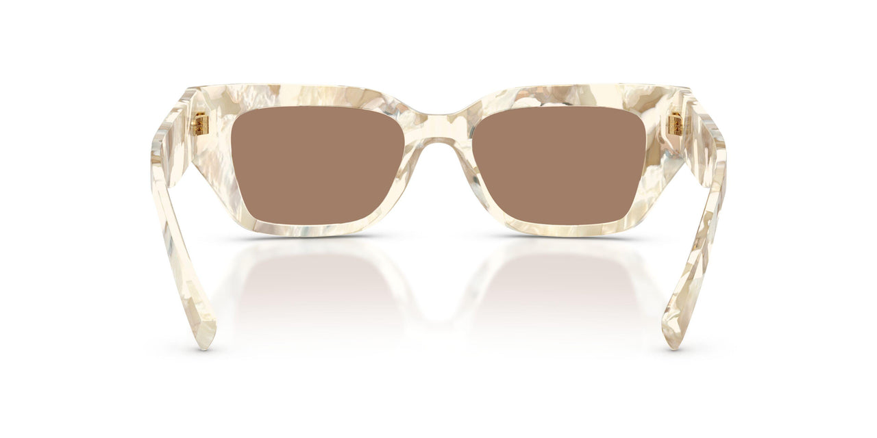 346173 - White - Solid Brown
