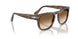 120851 - Tortoise - Gradient Brown