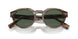 409871 - Green - Dark Green