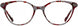 1 - Cherry Tortoise / Smoke