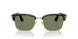 24/GJ - Tortoise - Transitions 8 Green