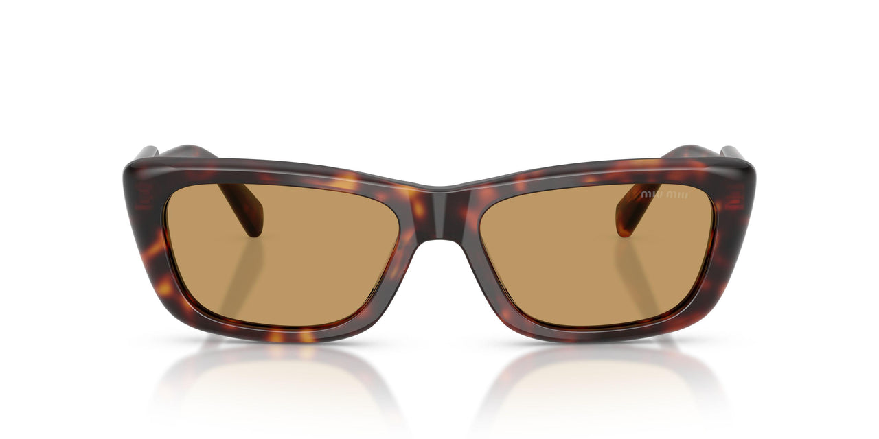 27L10Y - Tortoise - Brown