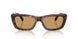 27L10Y - Tortoise - Brown