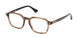 WEB 5428 Eyeglasses