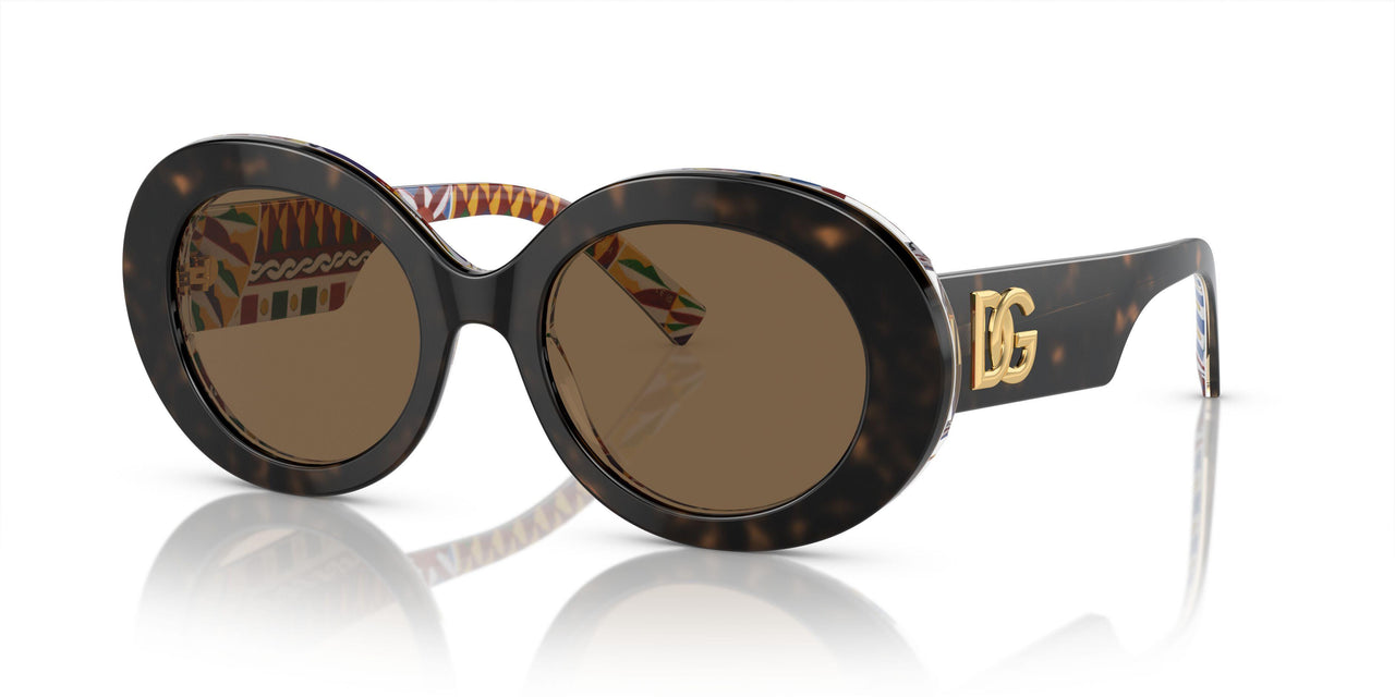 321773 - Tortoise - Dark Brown