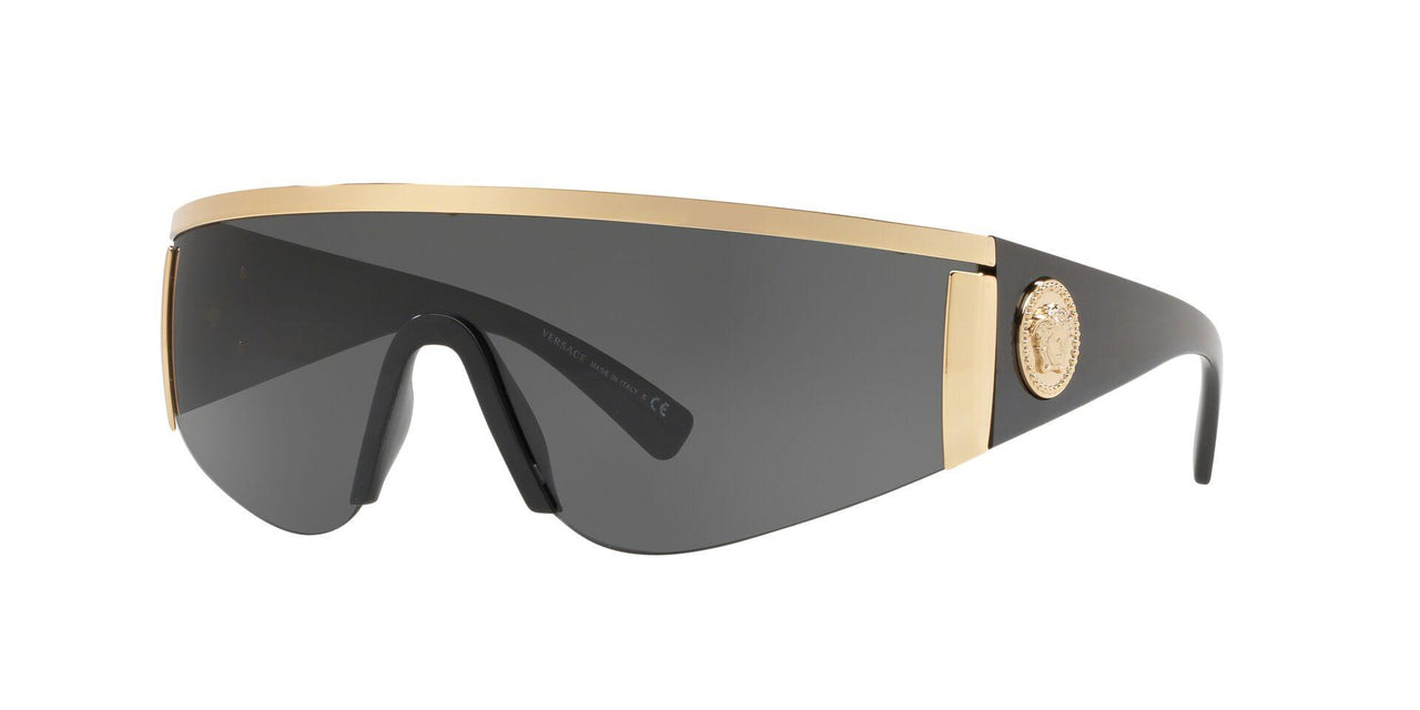 Versace hotsell 2197 sunglasses