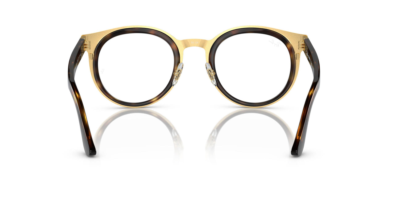 001/M1 - Tortoise - Clear/green