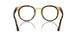 001/M1 - Tortoise - Clear/green