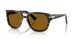 985/33 - Tortoise - Brown