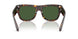 502/71 - Tortoise - Dark Green