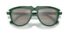 41046G - Green - Light Grey Mirror Silver