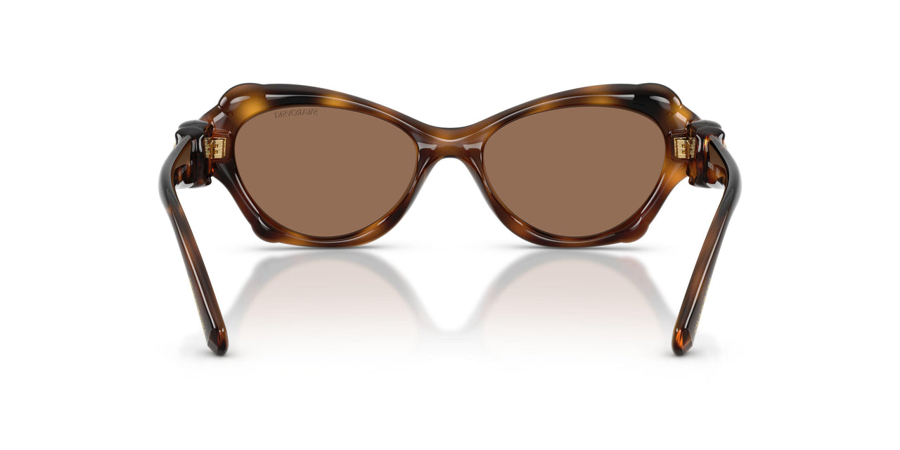 100273 - Tortoise - Dark Brown