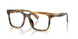 3063 - Tortoise